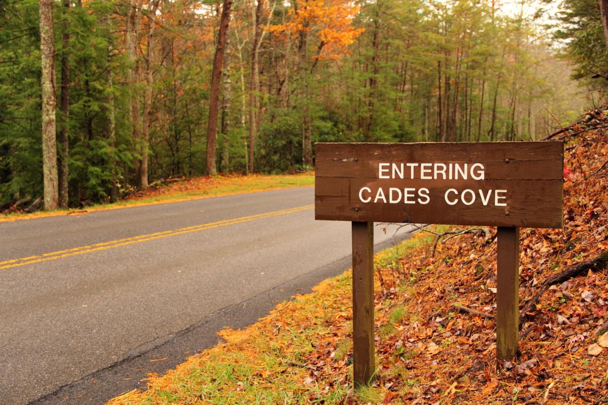 Wilderness Lodge, Hot Tub, Game Room, Pool Access, 1089 Free Tickets Each Paid Day, Dollywood And M Sevierville Ngoại thất bức ảnh